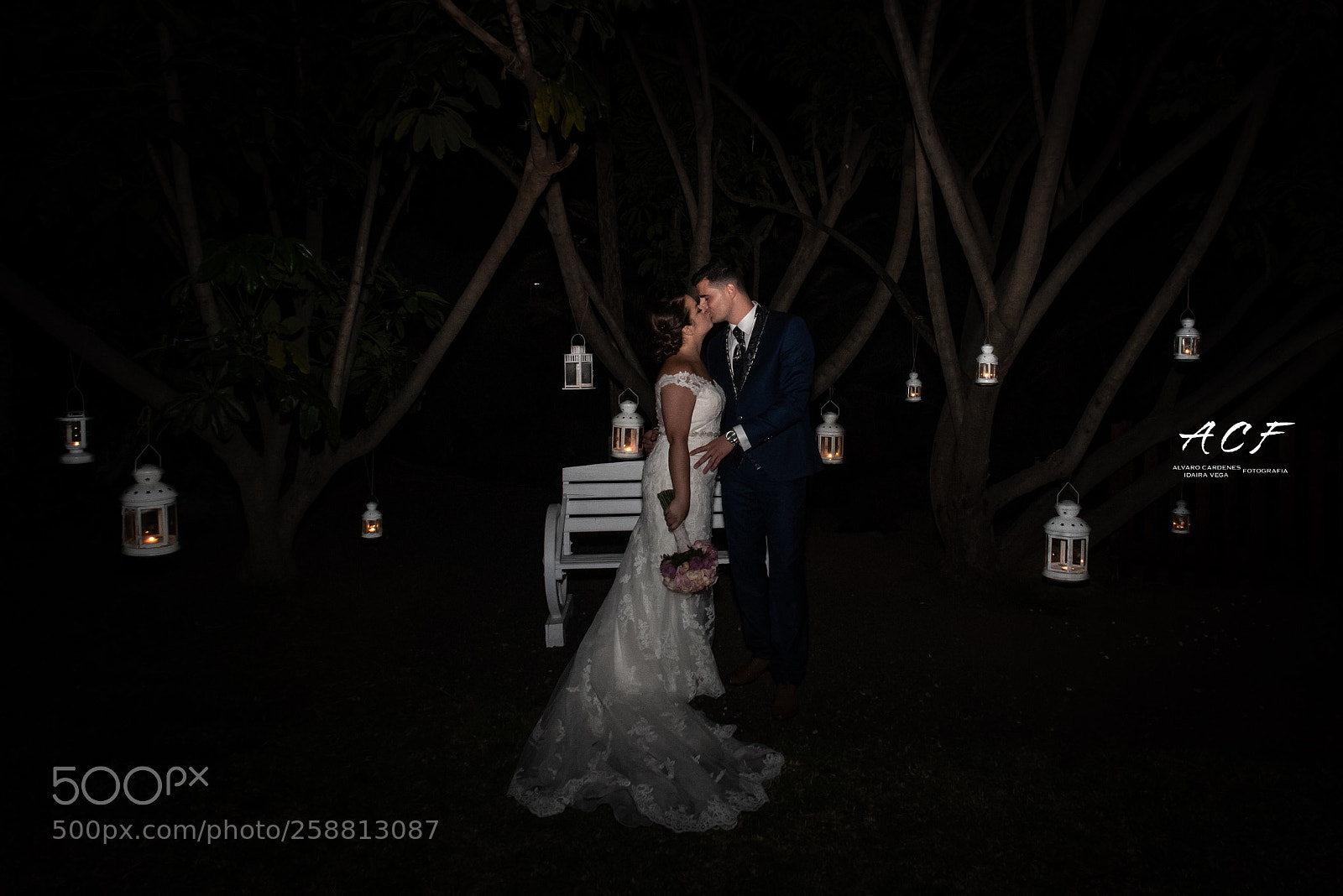 Nikon D750 sample photo. Untitled photography