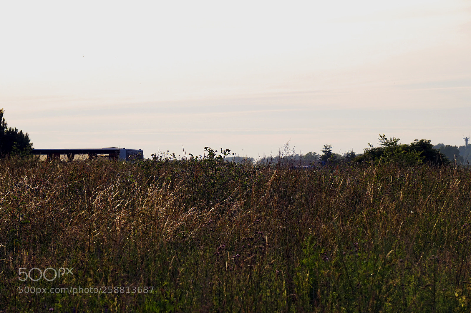 Sony Alpha a5000 (ILCE 5000) sample photo. Dsc photography