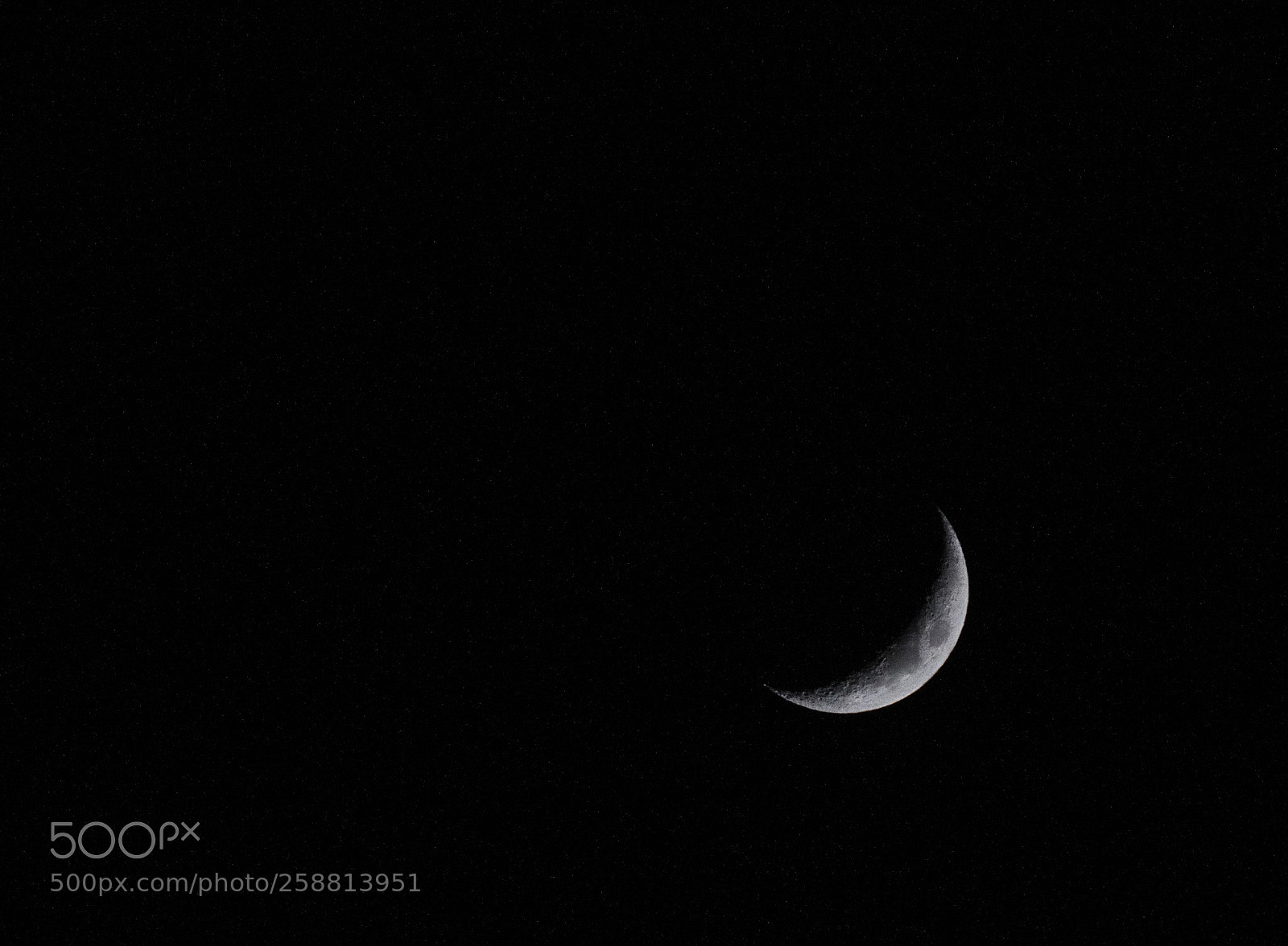 Nikon D850 sample photo. 850_1757.jpg photography