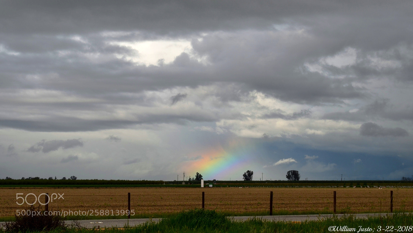 Nikon D5100 sample photo. Rainbow over fields of photography
