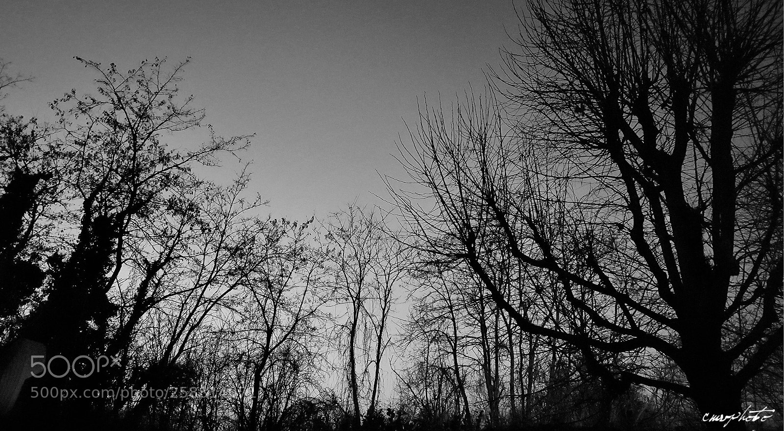 Samsung Galaxy S6 sample photo. Blackwood photography