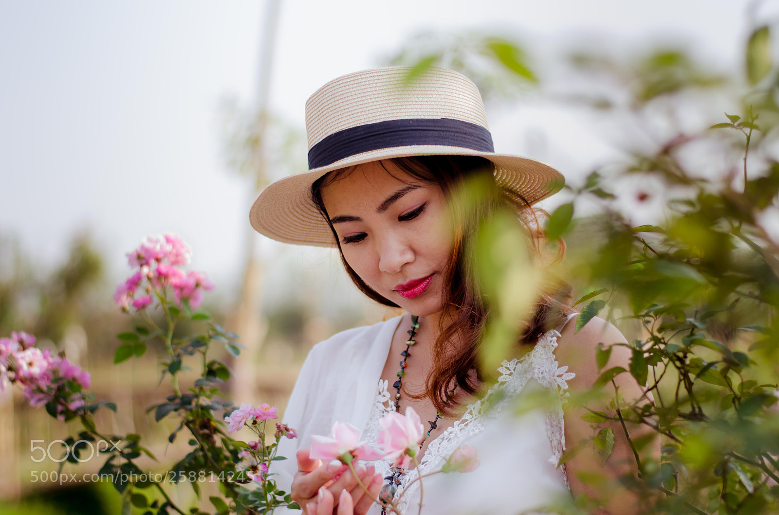 Nikon D7000 sample photo. Venus photography