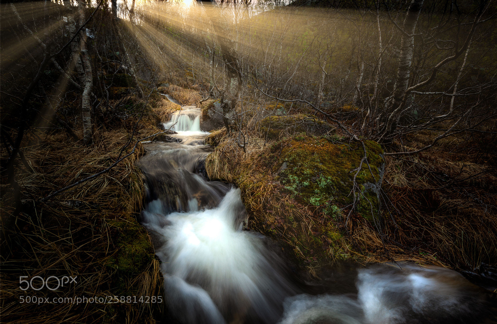 Canon EOS 5D Mark II sample photo. Waterstream in sun beem photography