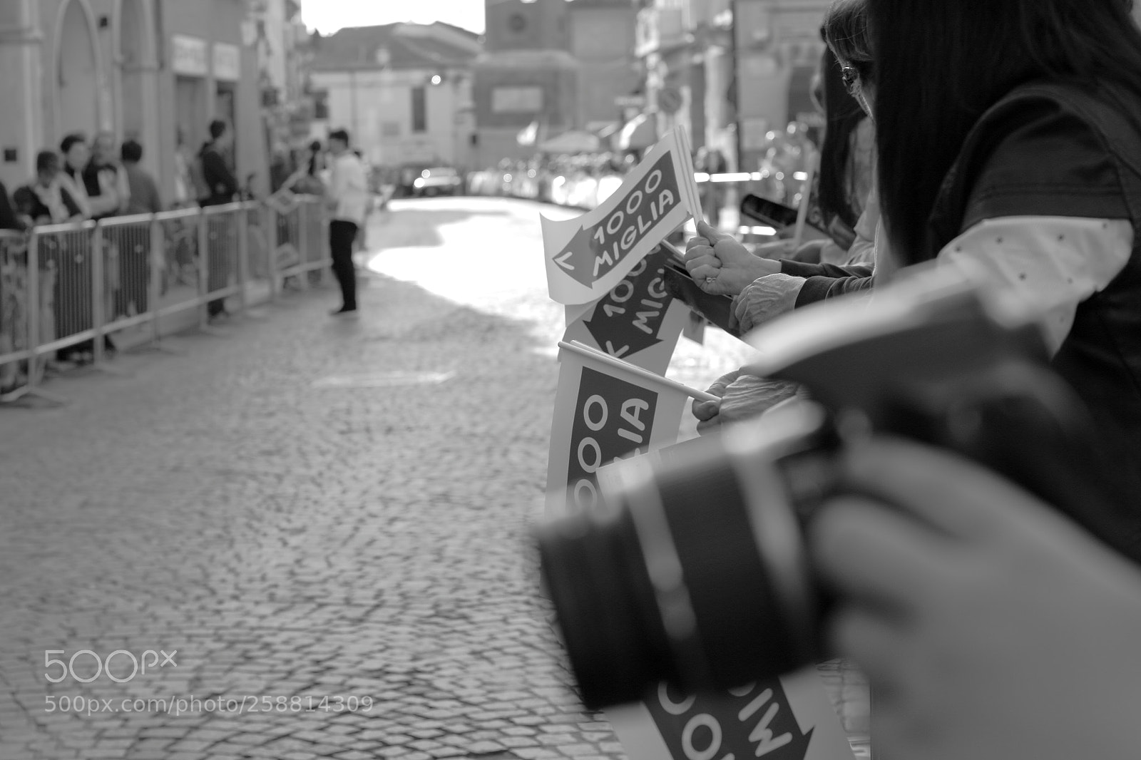 Canon EOS 60D + Canon EF 50mm F1.8 STM sample photo. Miglia photography