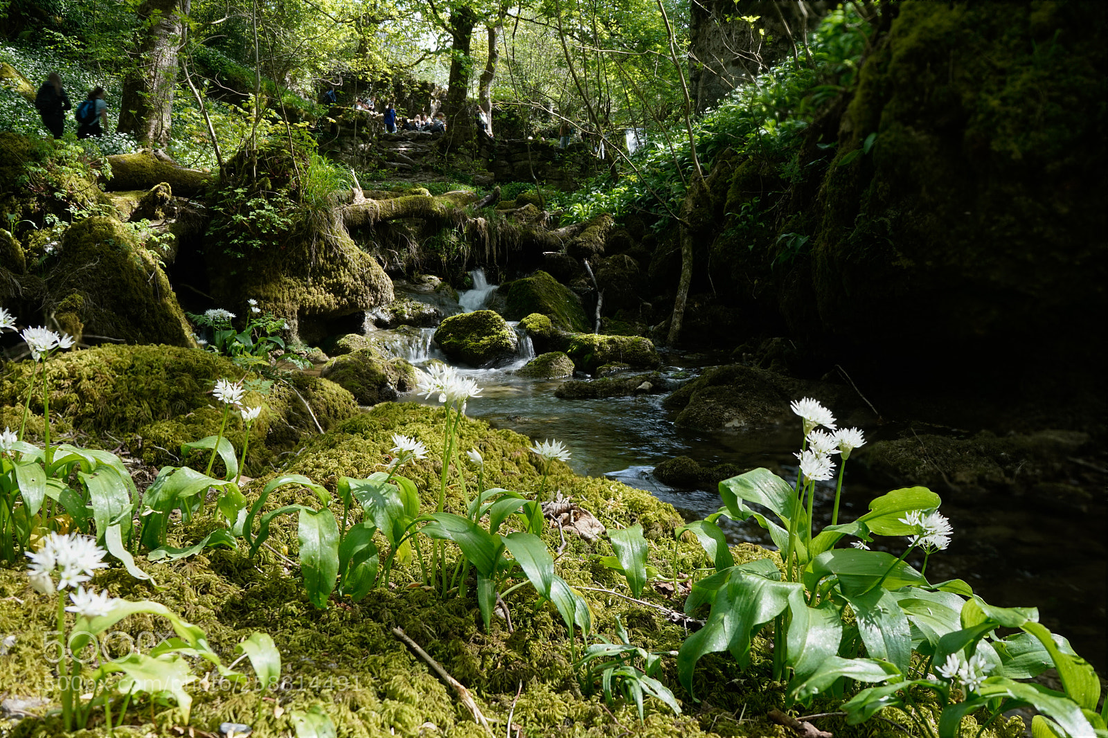 Sony a7 sample photo. Janets foss photography