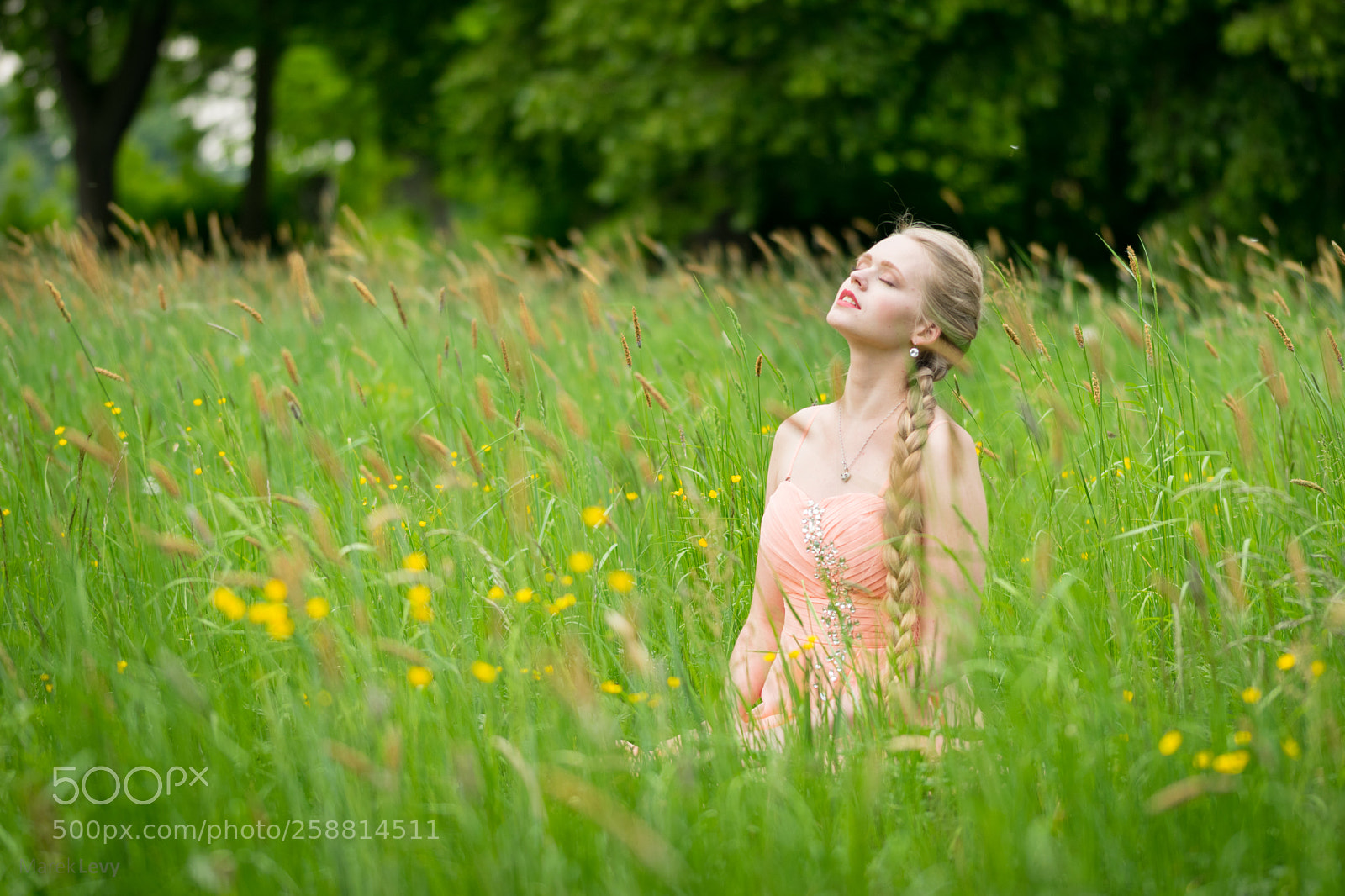 Nikon D5300 sample photo. Relaxation on the meadow photography