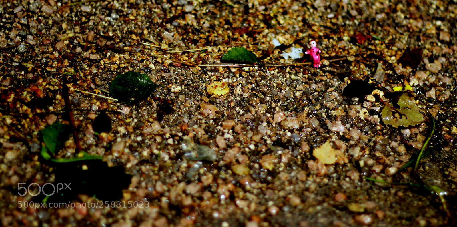 Canon EOS 60D + Canon EF 50mm F1.8 II sample photo. In the zone photography