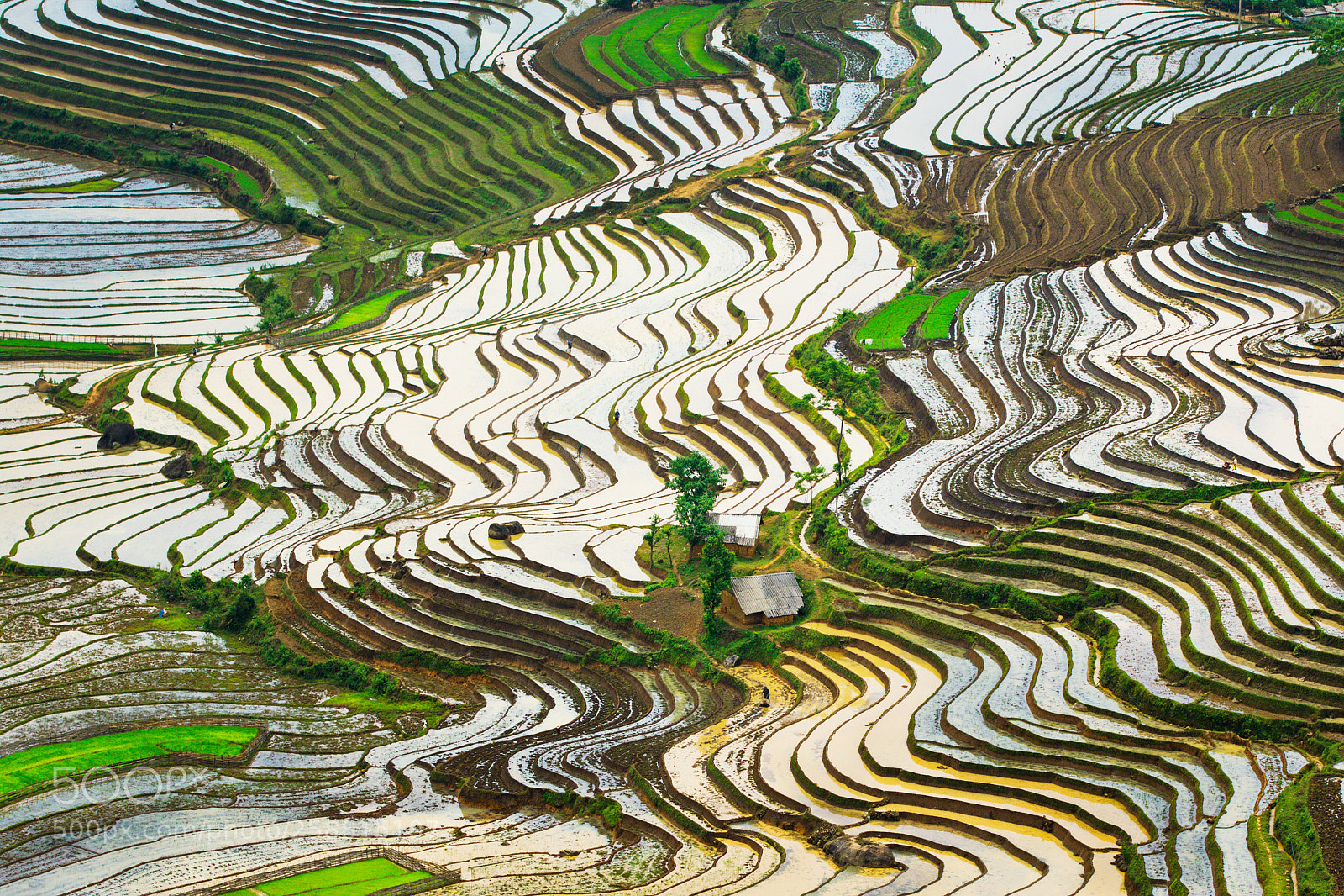 Canon EOS 7D Mark II sample photo. Wonderful terraces in the photography