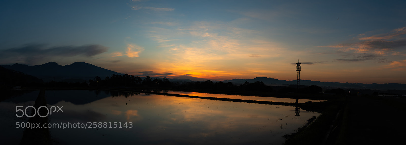 Nikon D750 sample photo. 田んぼ photography