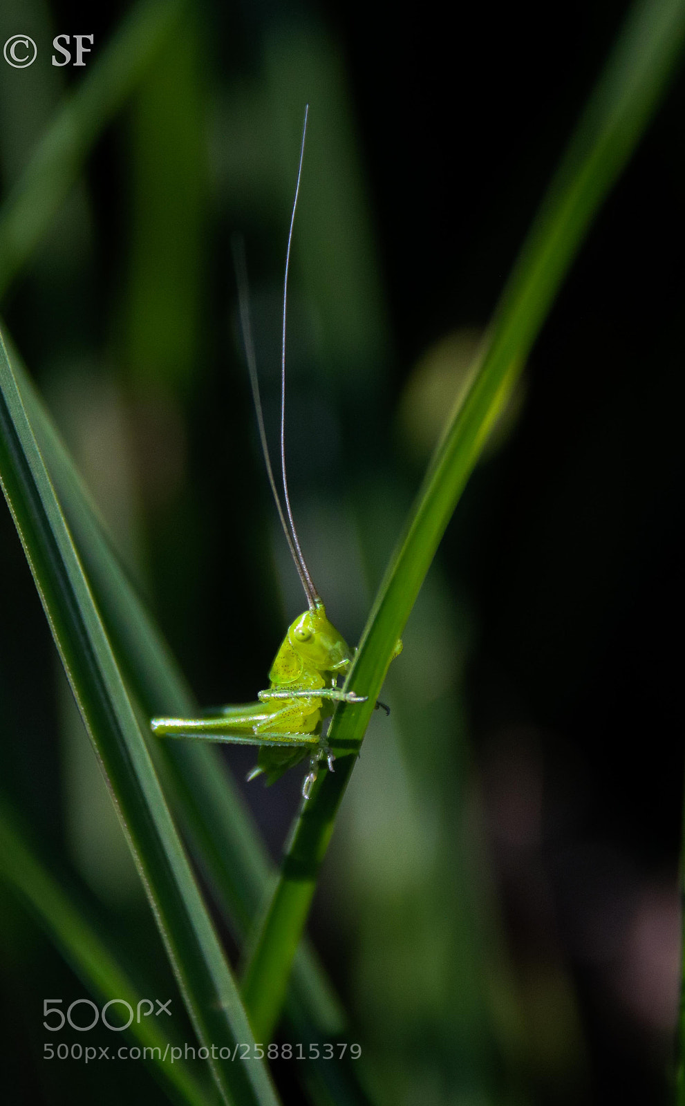 Canon EOS 750D (EOS Rebel T6i / EOS Kiss X8i) sample photo. Up! photography
