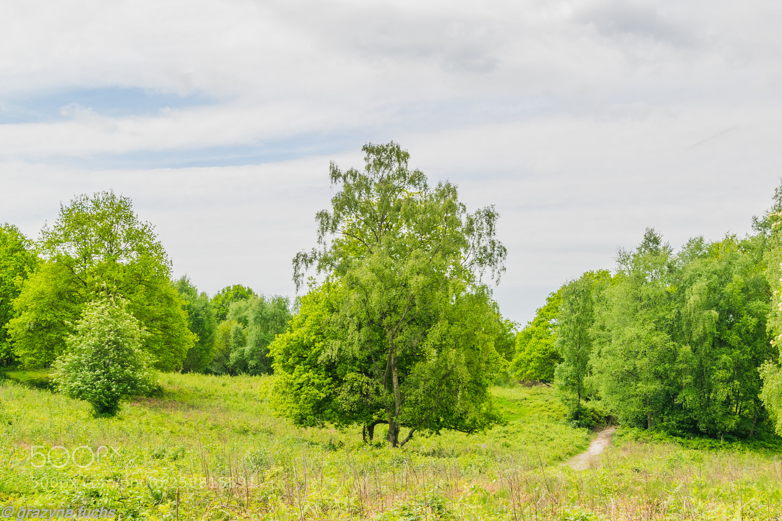 Nikon D3300 sample photo. Headley heath photography