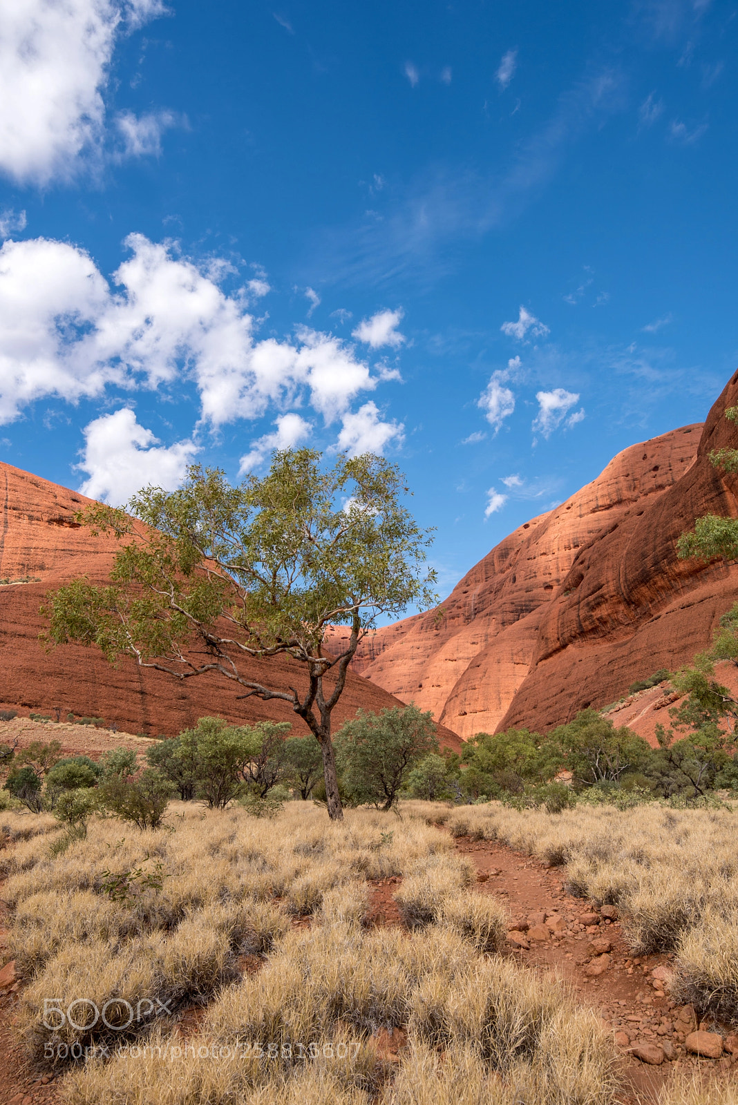 Nikon D750 sample photo. Valley of wind, the photography