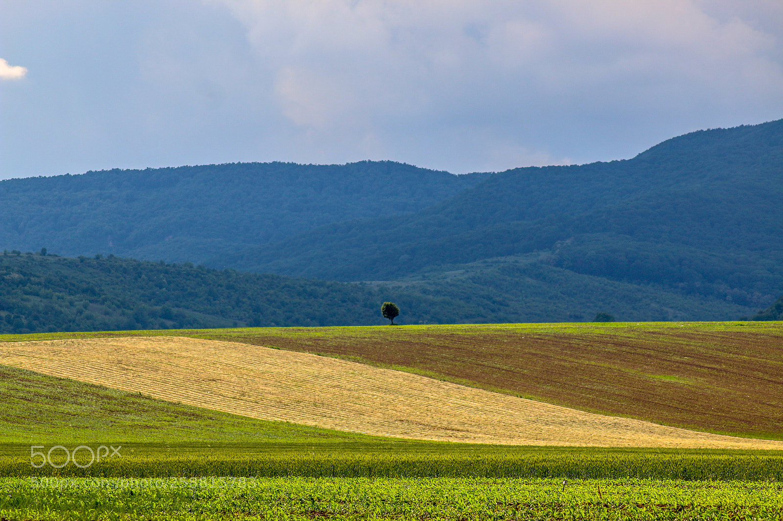 Canon EOS 70D sample photo. Untitled photography