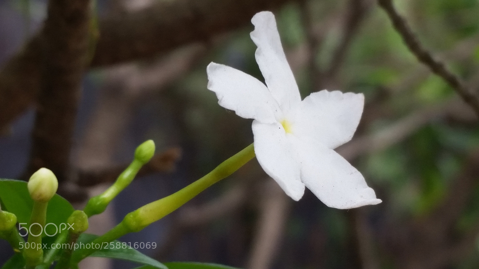 Samsung Galaxy S5 sample photo. Untitled photography