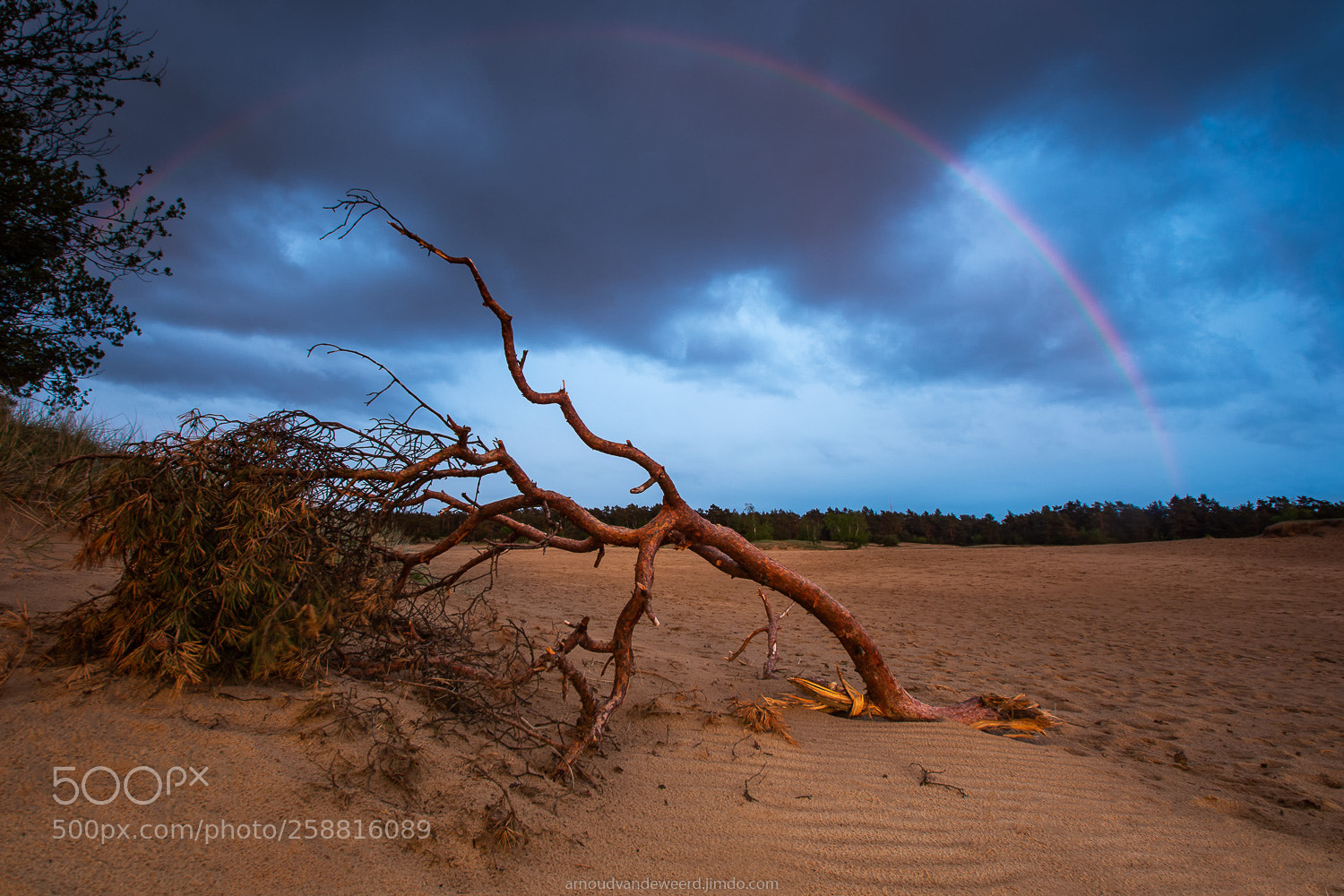 Nikon D7200 sample photo. Rainbow photography