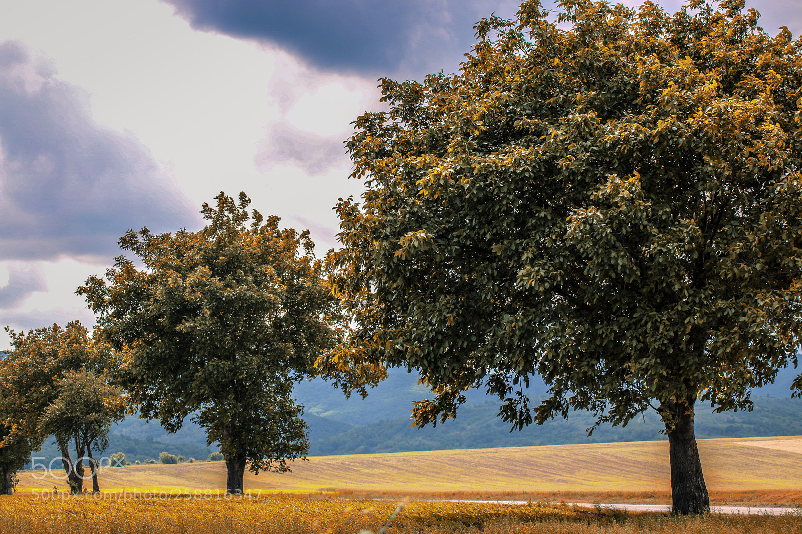 Canon EOS 70D sample photo. Untitled photography