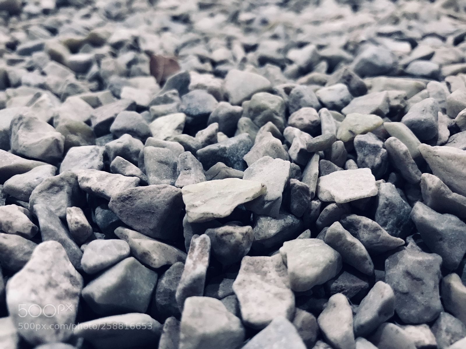 Apple iPhone 7 sample photo. Untitled photography