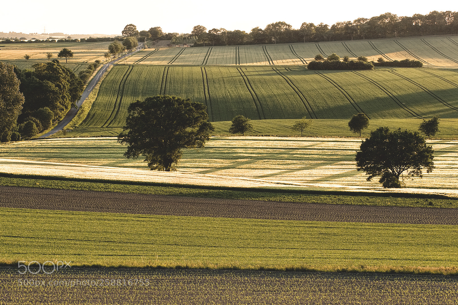 Panasonic Lumix DC-G9 sample photo. Landschaft photography
