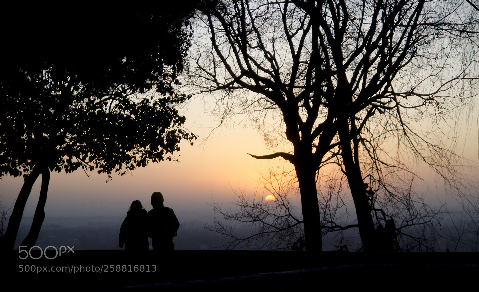 Nikon D7000 sample photo. Untitled photography