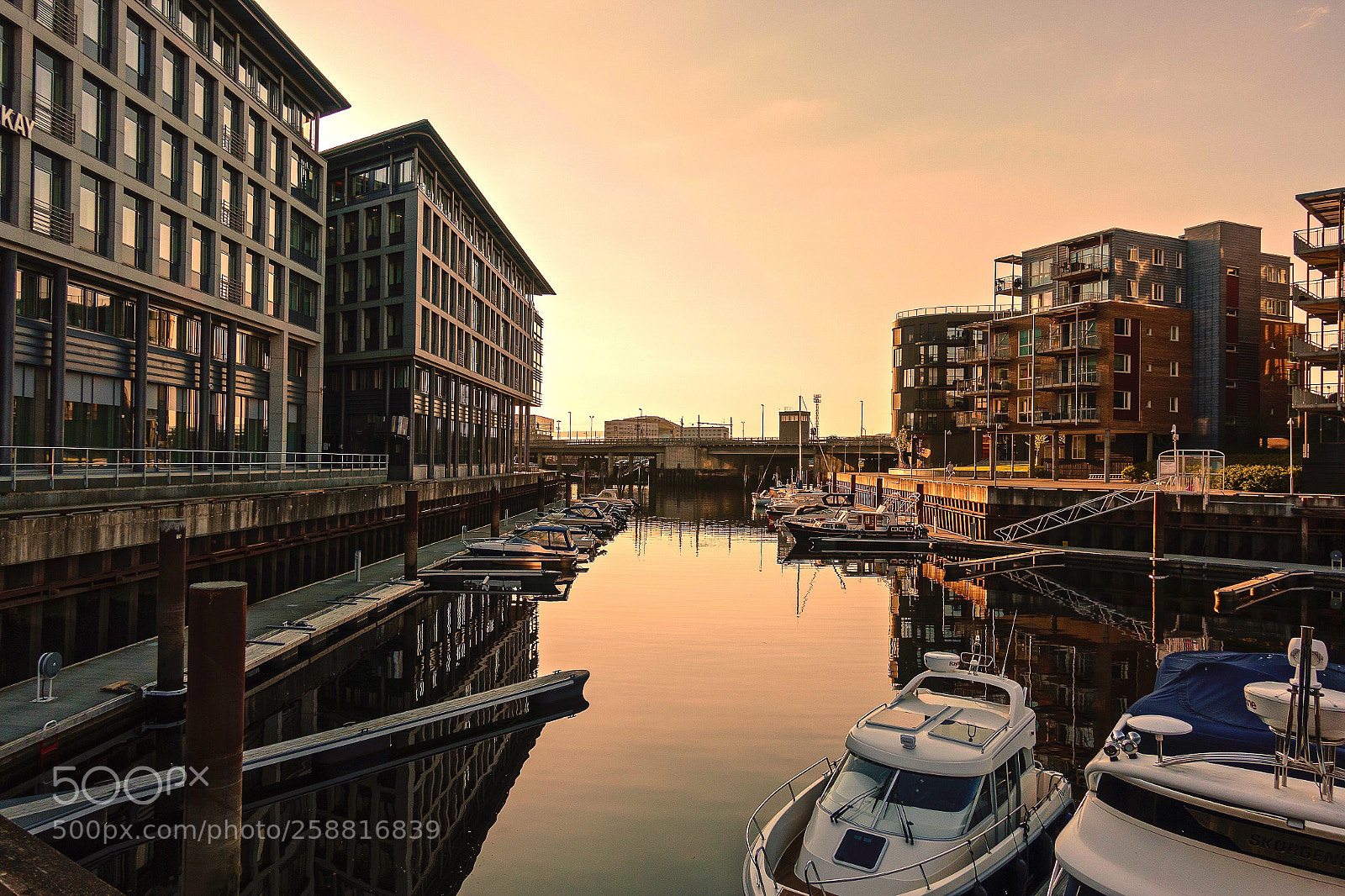 Sony DSC-RX100M5 sample photo. Rosenborg dammen i nidelva  photography
