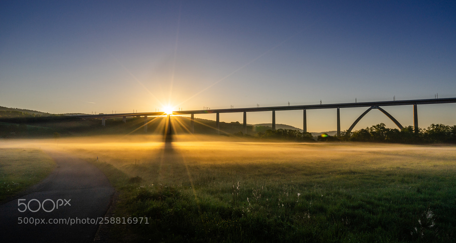 Sony a7R sample photo. Golden fog photography