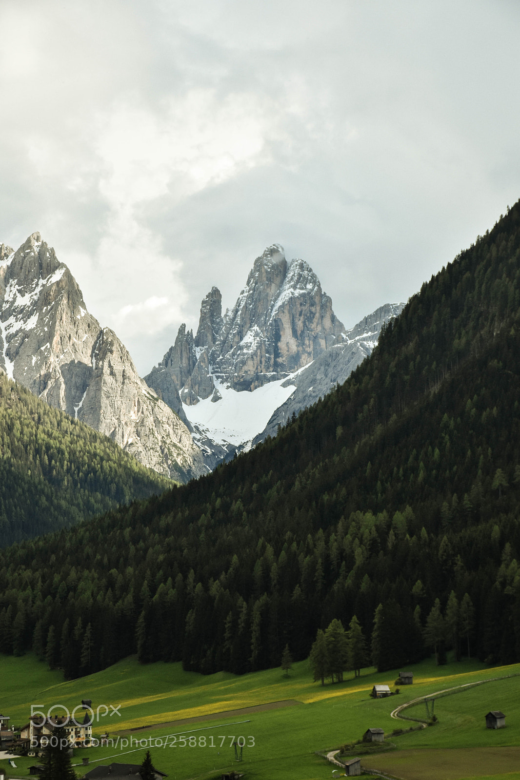 Nikon D7200 sample photo. Parco naturale tre cime photography