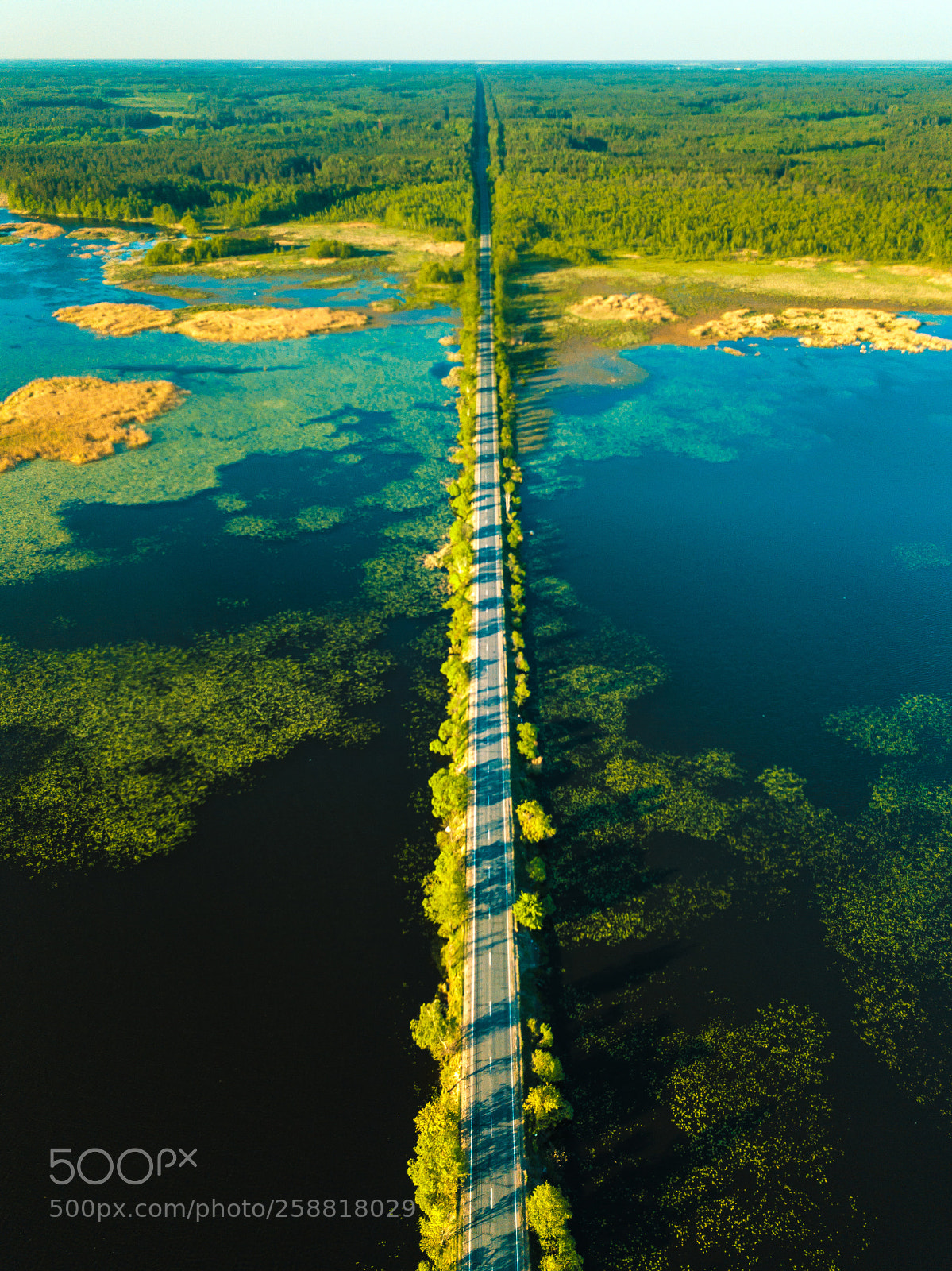 DJI FC220 sample photo. The road to your photography