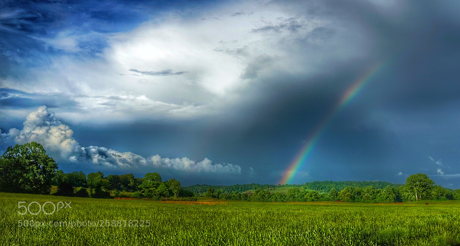Sony a7 sample photo. After the rain photography