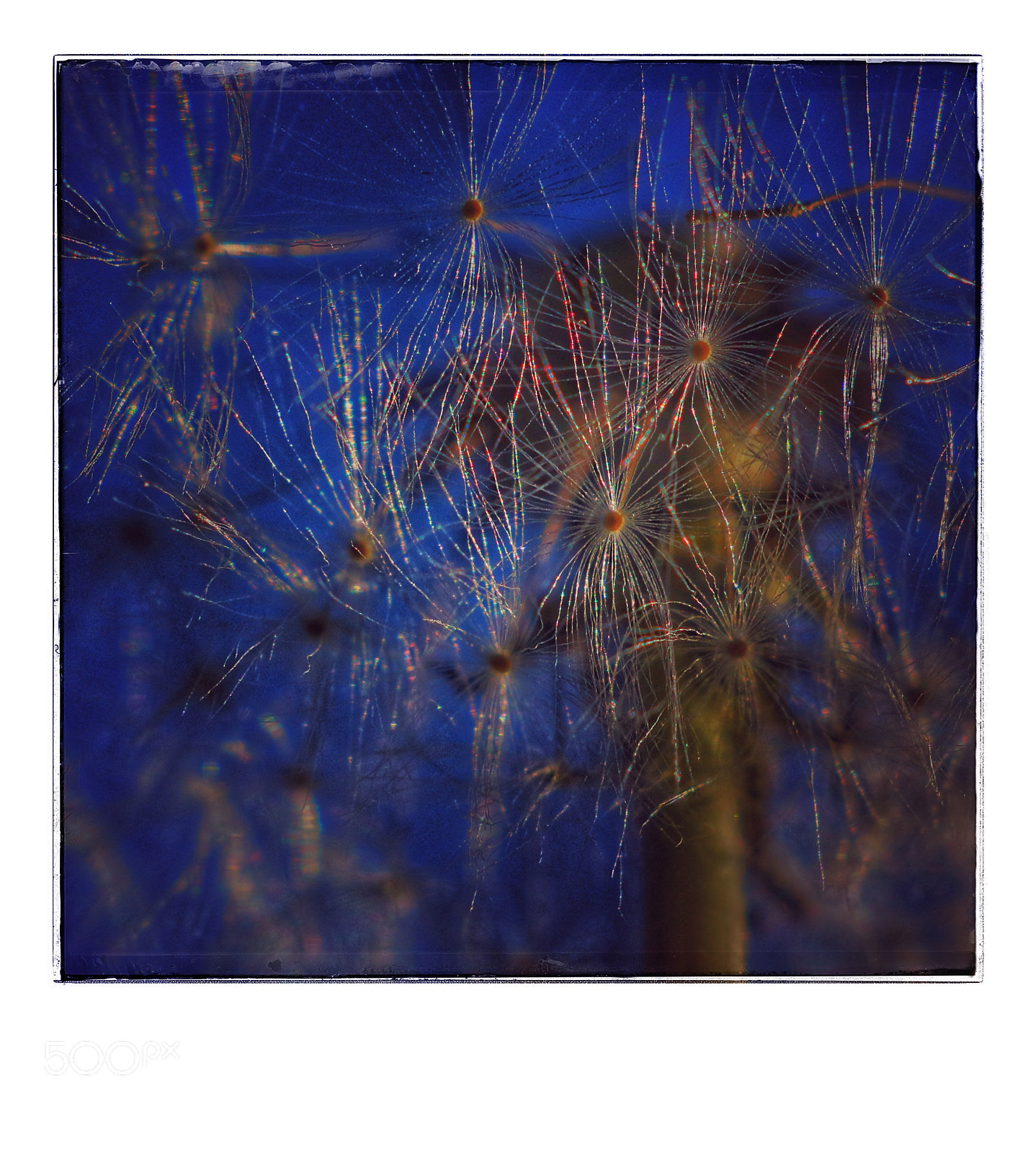Canon EOS 7D Mark II sample photo. Natur photography