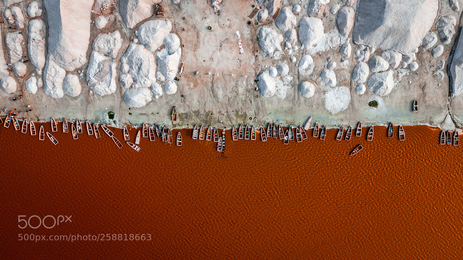 DJI FC220 sample photo. Feeding on salt photography