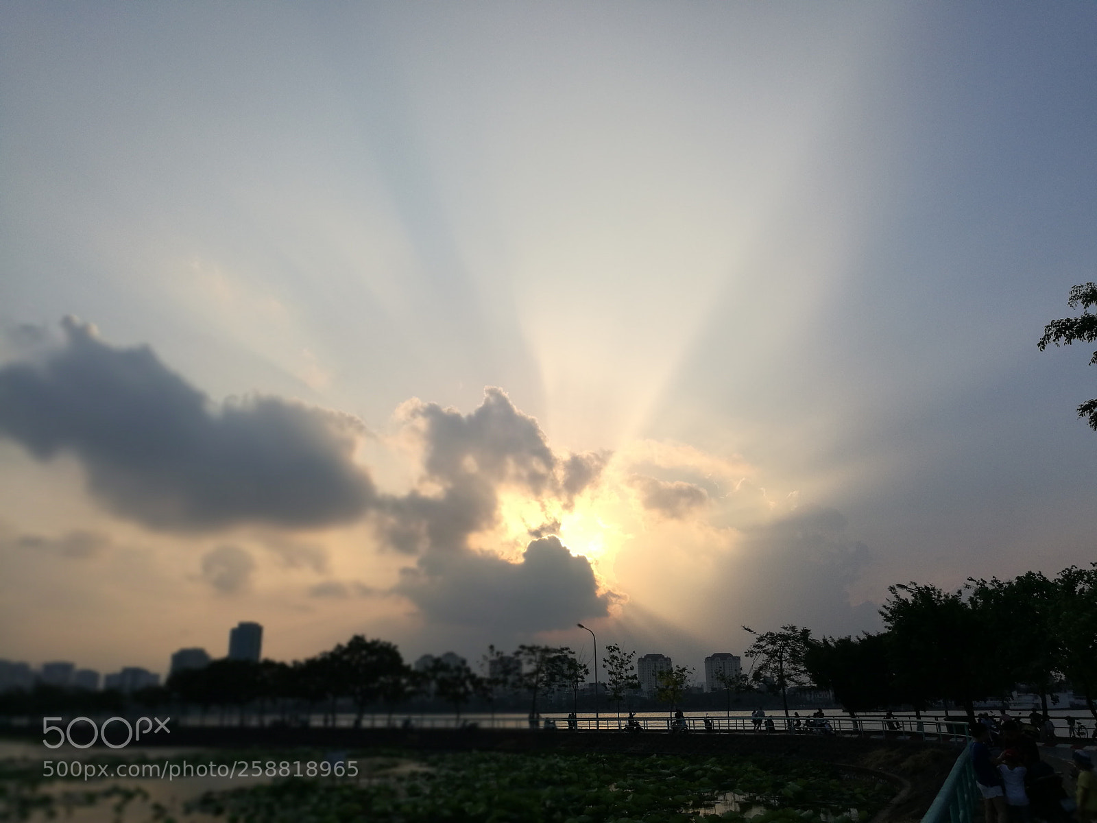 HUAWEI P9 sample photo. Go to the bed photography
