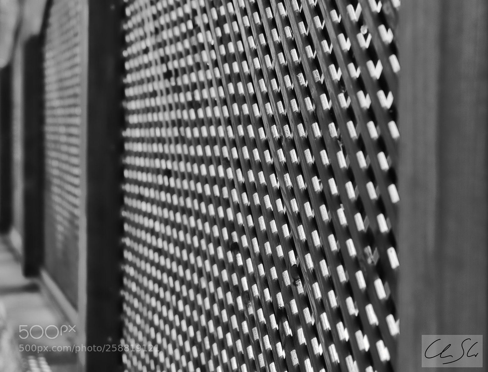 Canon EOS 80D sample photo. Structured fence photography
