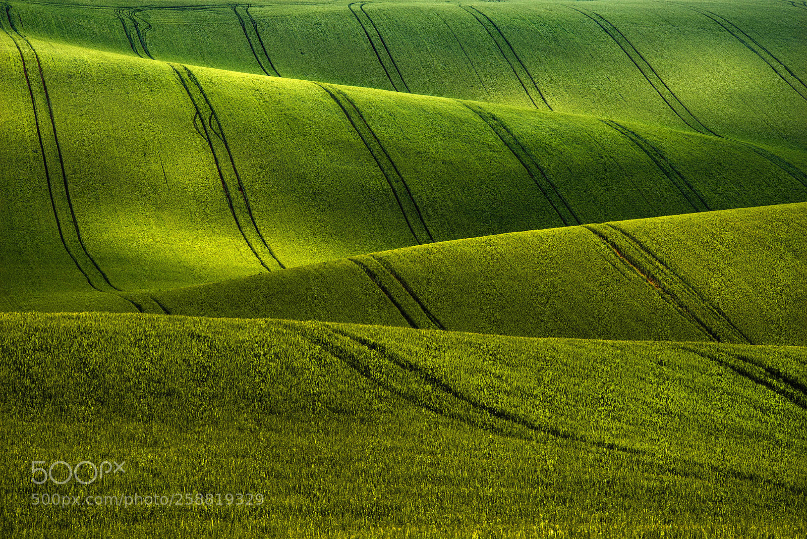 Pentax K-1 sample photo. Green waves photography