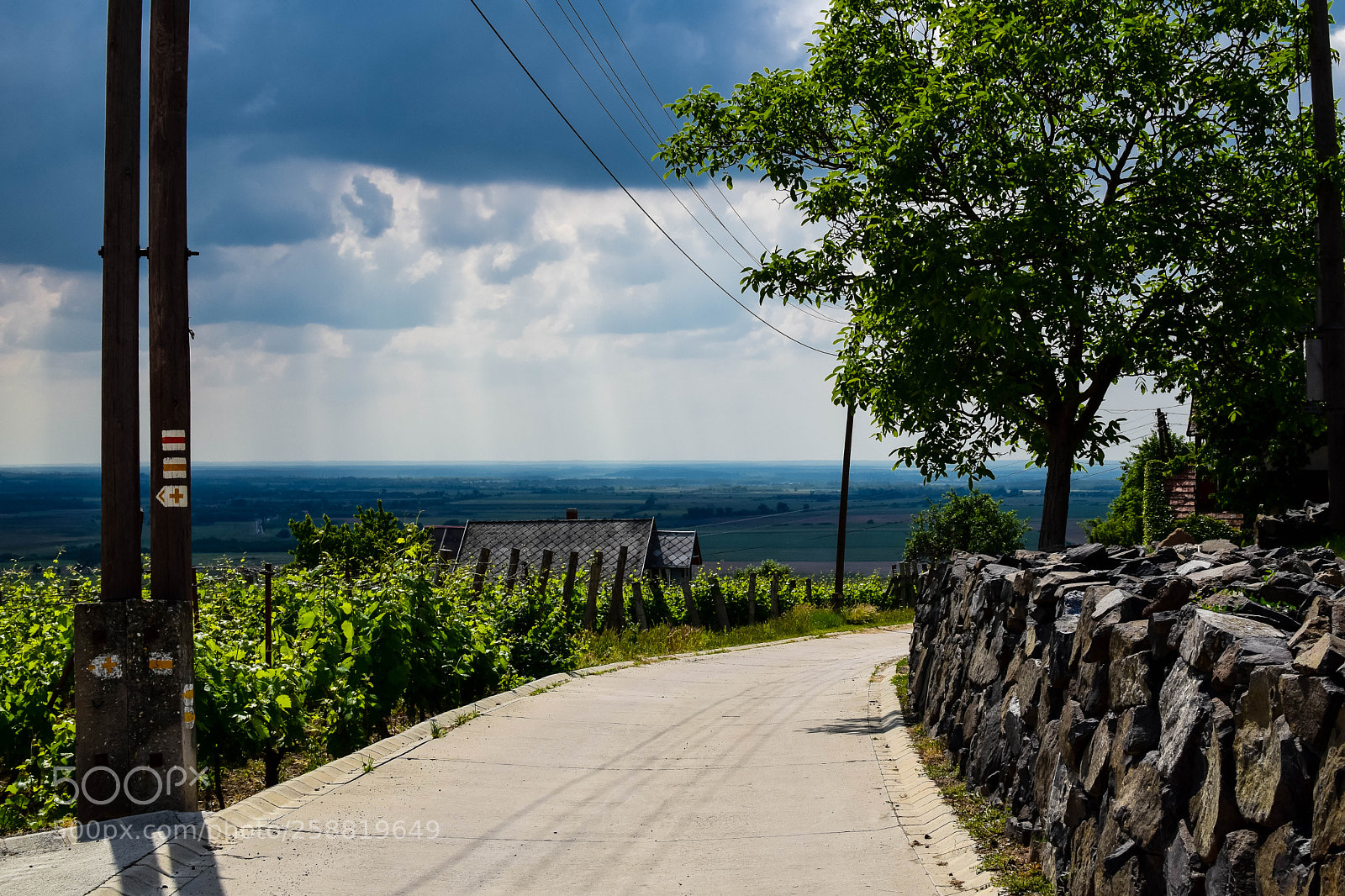 Nikon D3300 sample photo. Photo_by_vivi photography