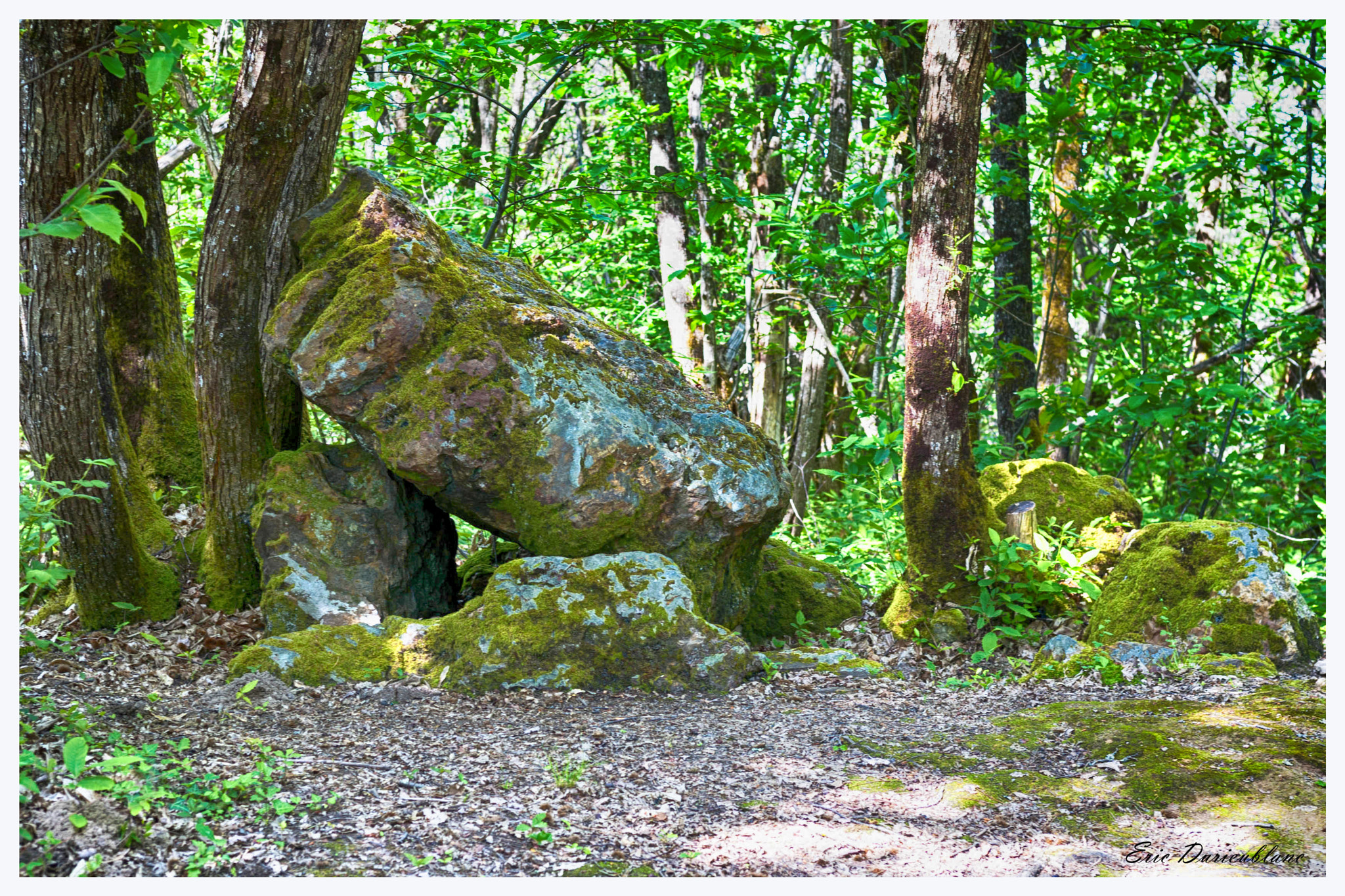 Canon EOS-1D Mark II sample photo. Dolmen photography