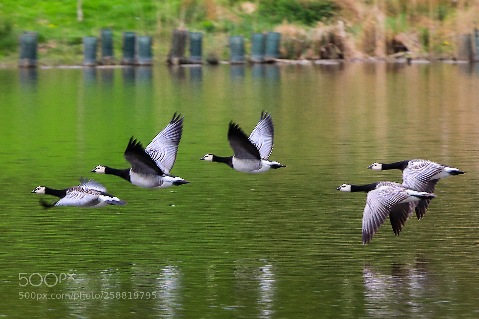 Canon EOS 5D Mark IV sample photo. Untitled photography