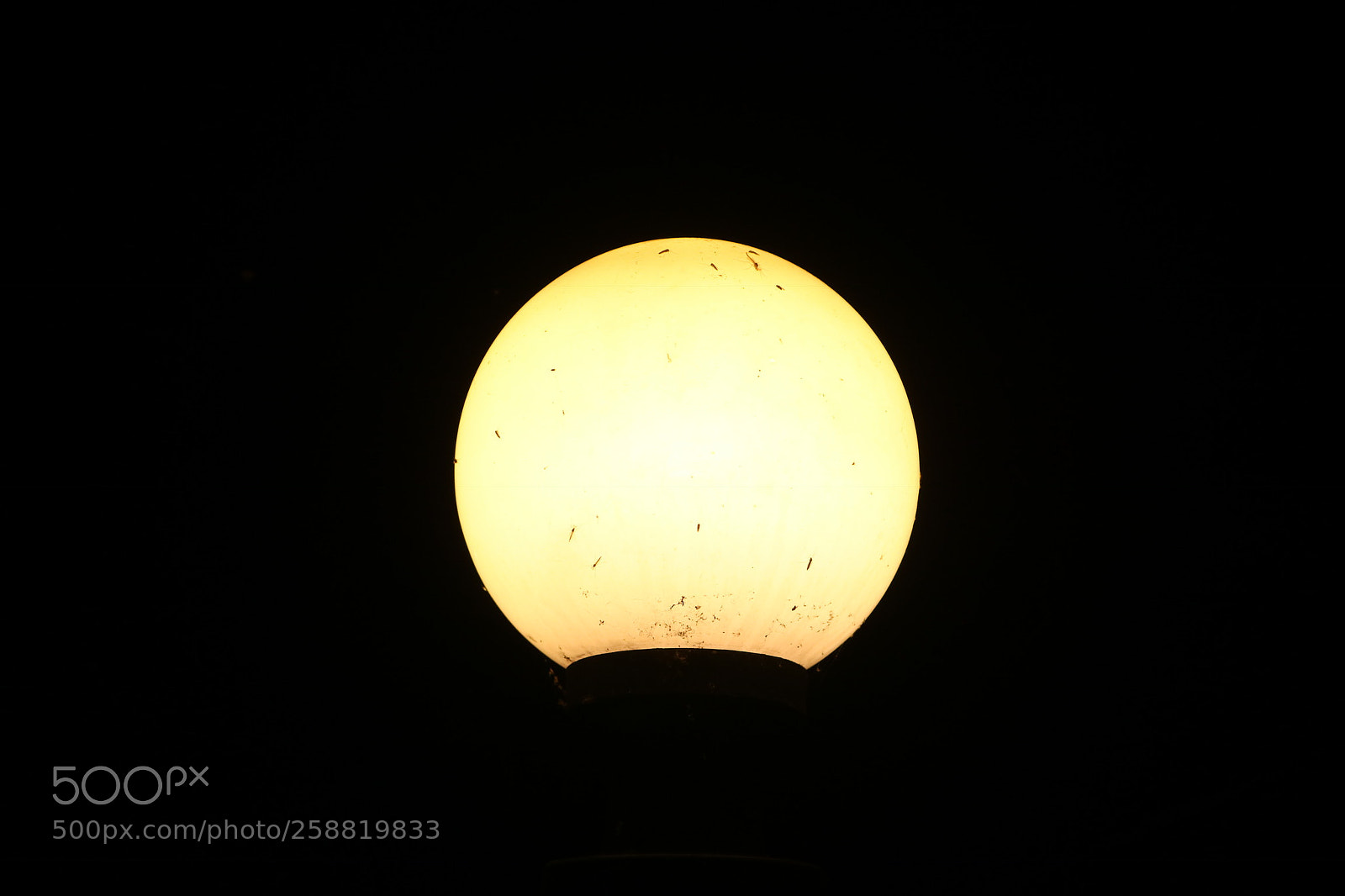Canon EOS 750D (EOS Rebel T6i / EOS Kiss X8i) sample photo. Light stand photography
