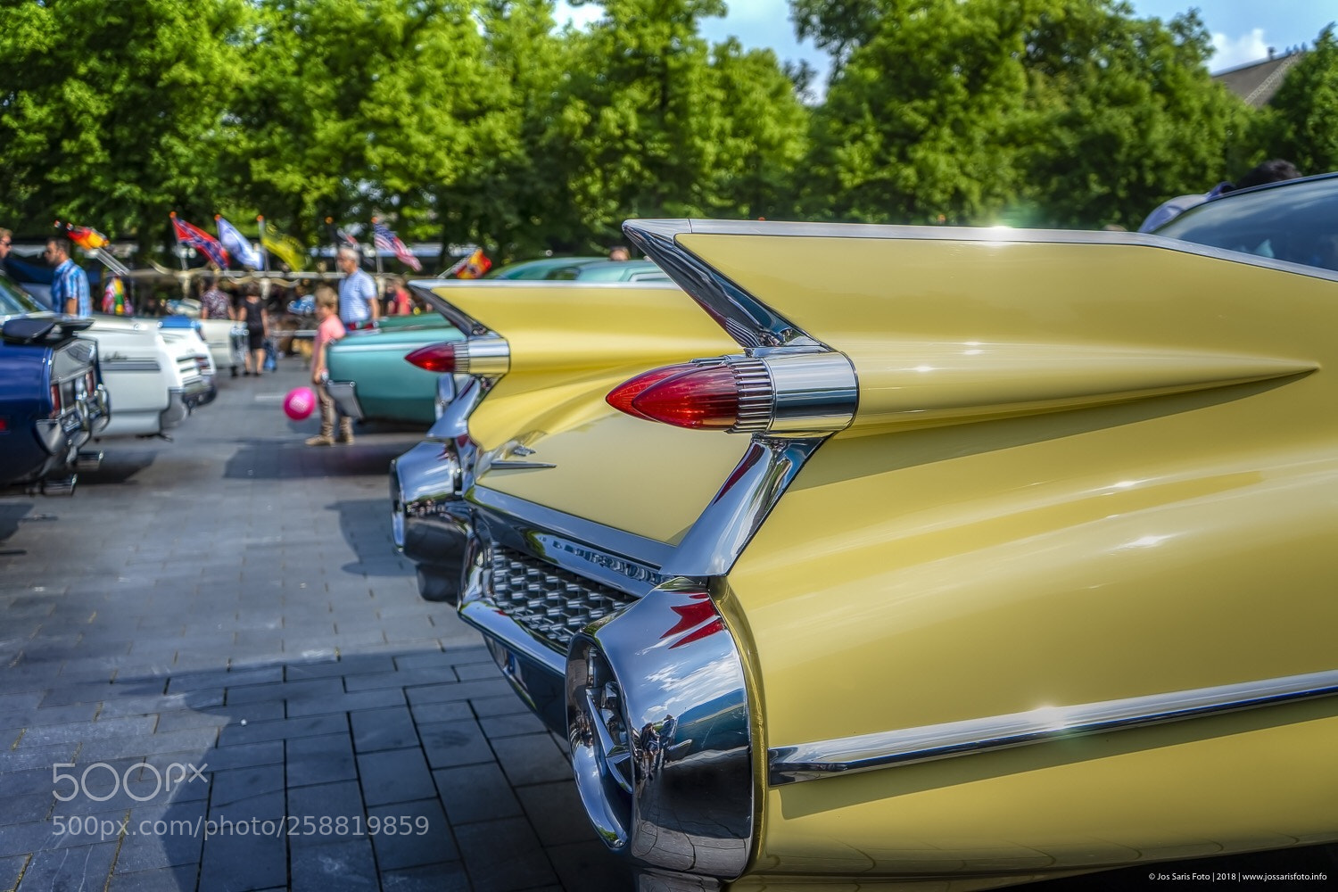 Sony a7 sample photo. Netherlands venlo feel the photography