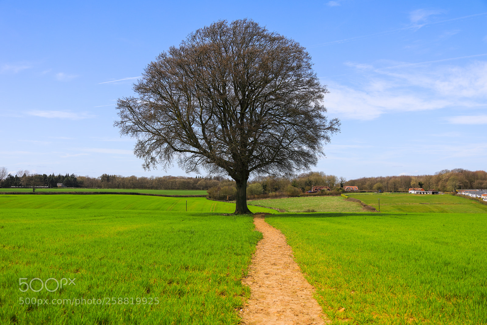 Canon EOS 5D Mark IV sample photo. Untitled photography