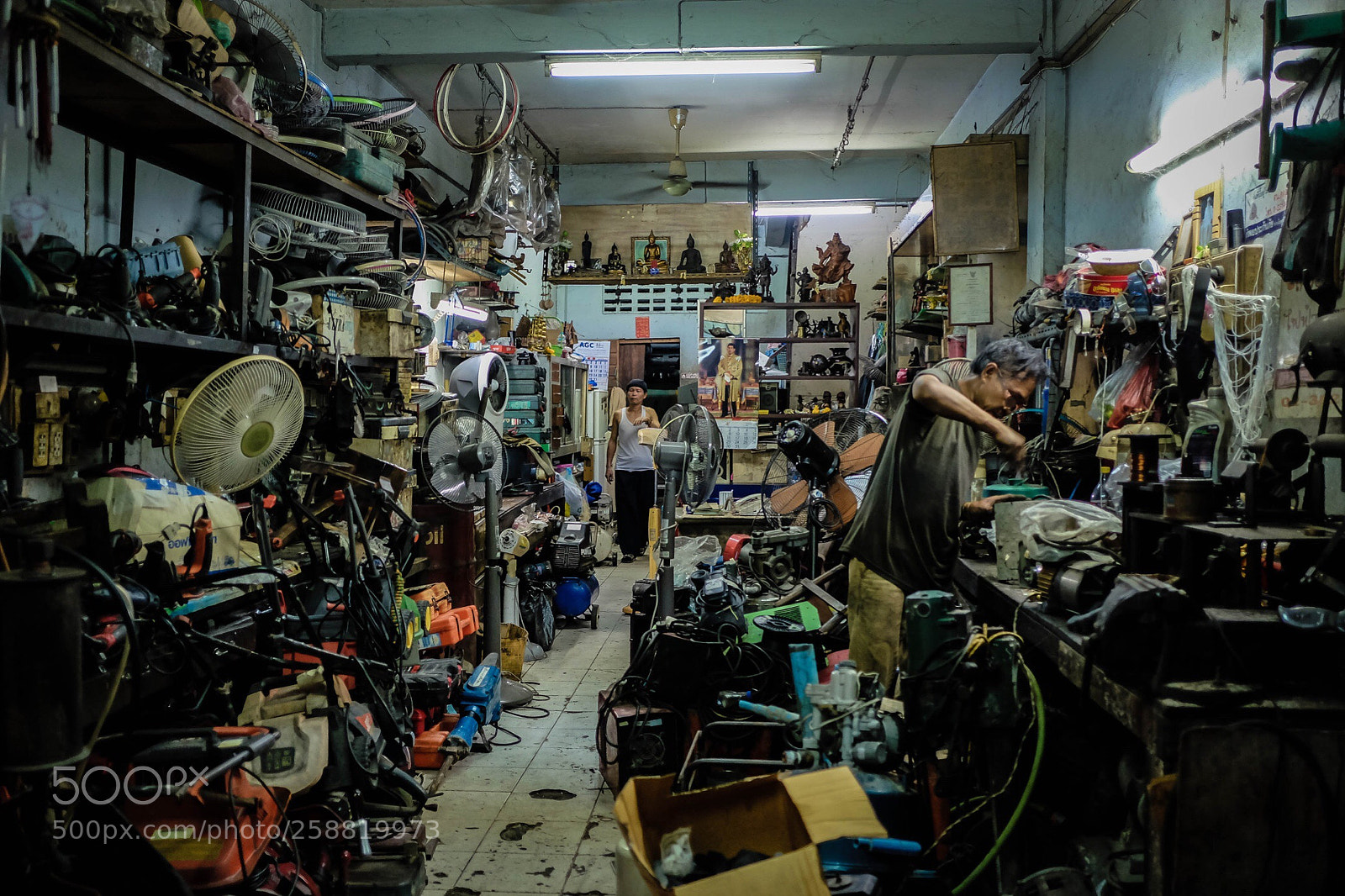 Fujifilm X-T10 sample photo. From chaos, renewal. photography