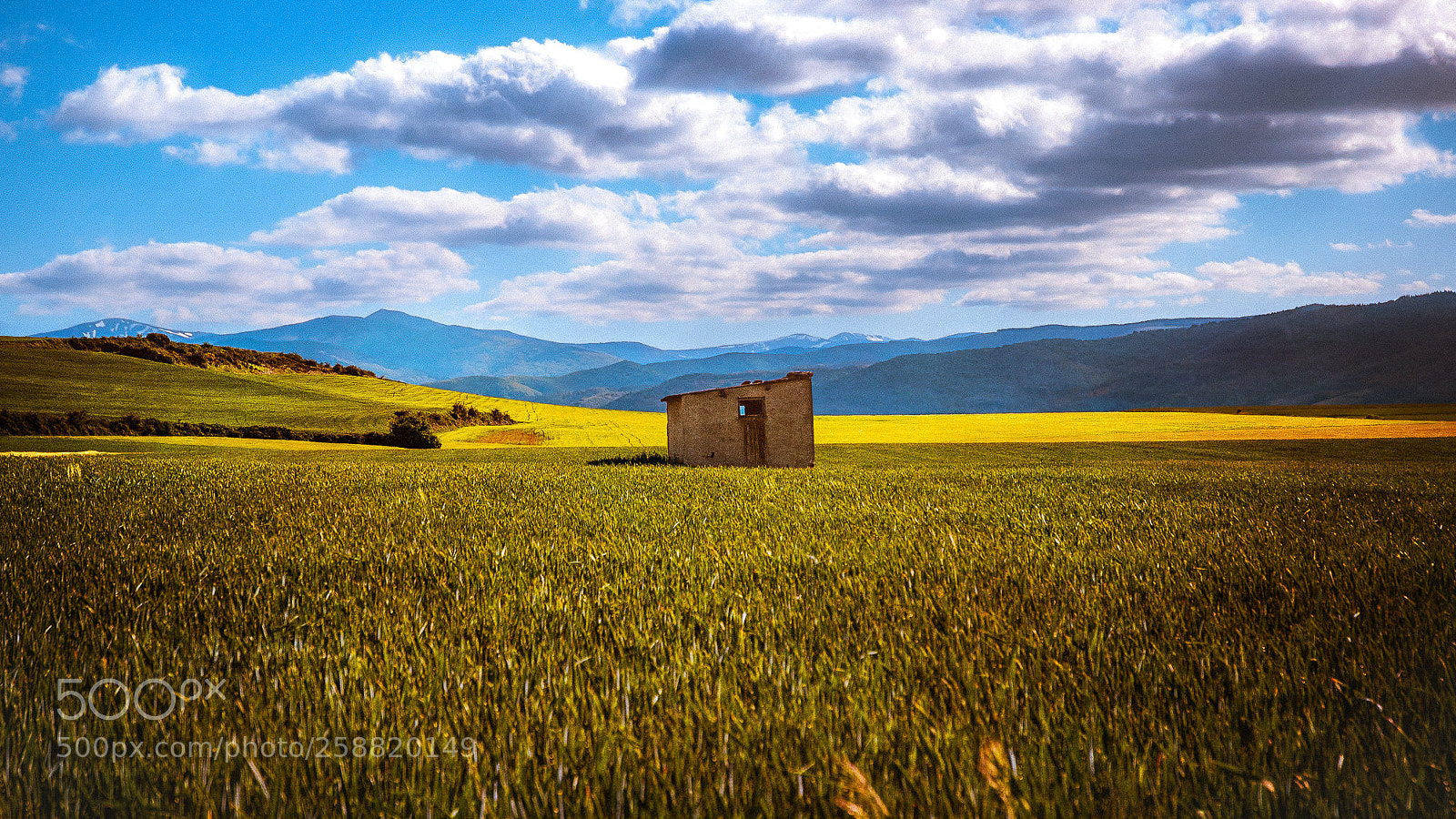 Nikon D70s sample photo. Camino de santiago - 29/40 photography