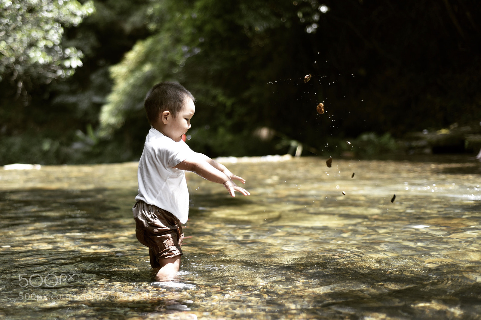 Nikon D810 sample photo. Untitled photography