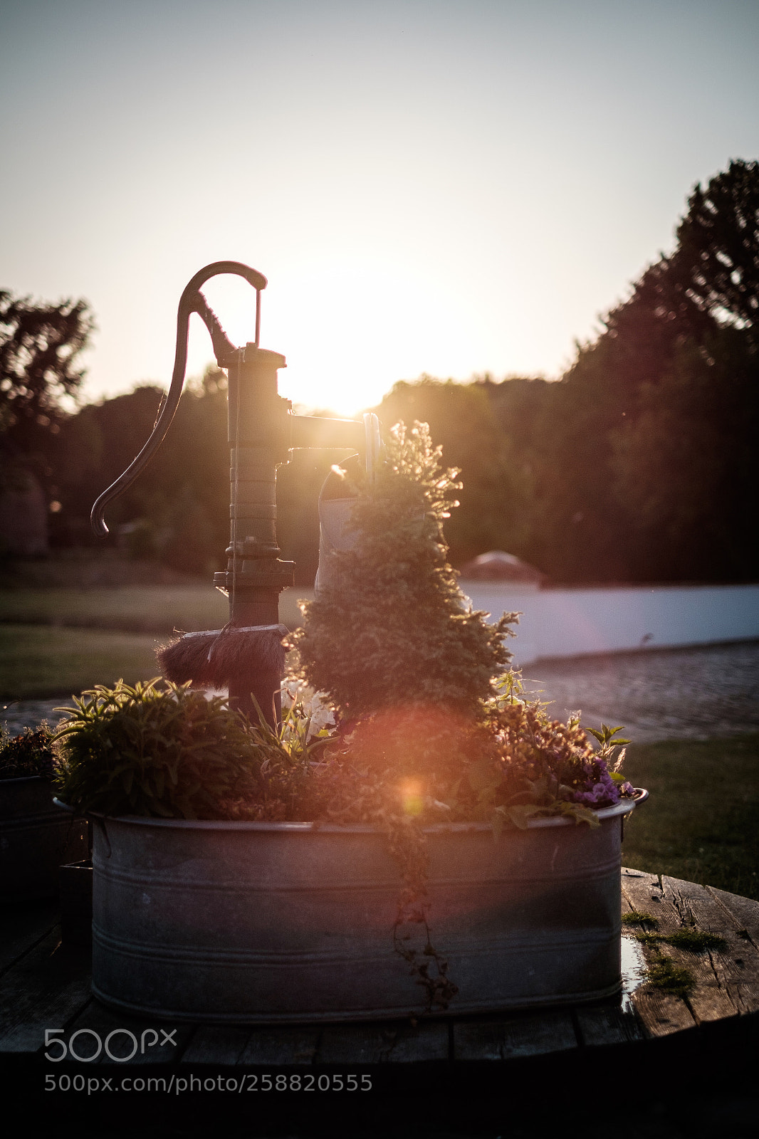 Fujifilm X-T10 sample photo. Untitled photography