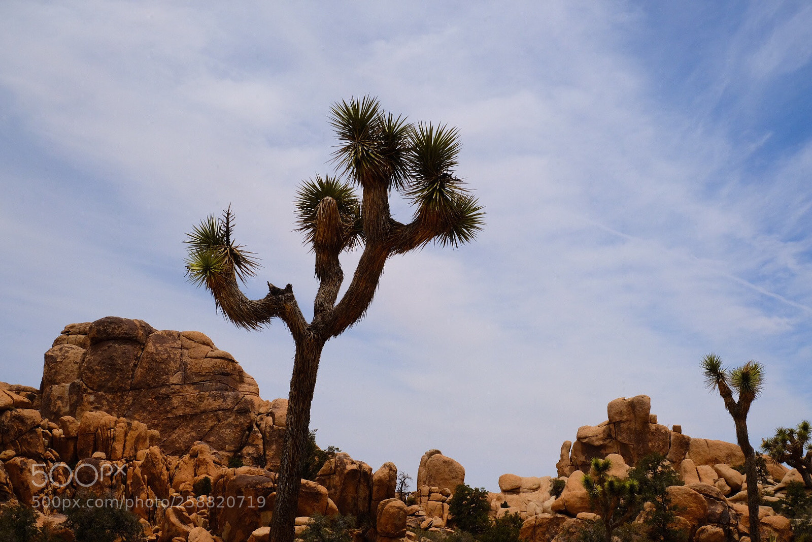 Fujifilm X-T2 sample photo. Wonder of nature... photography