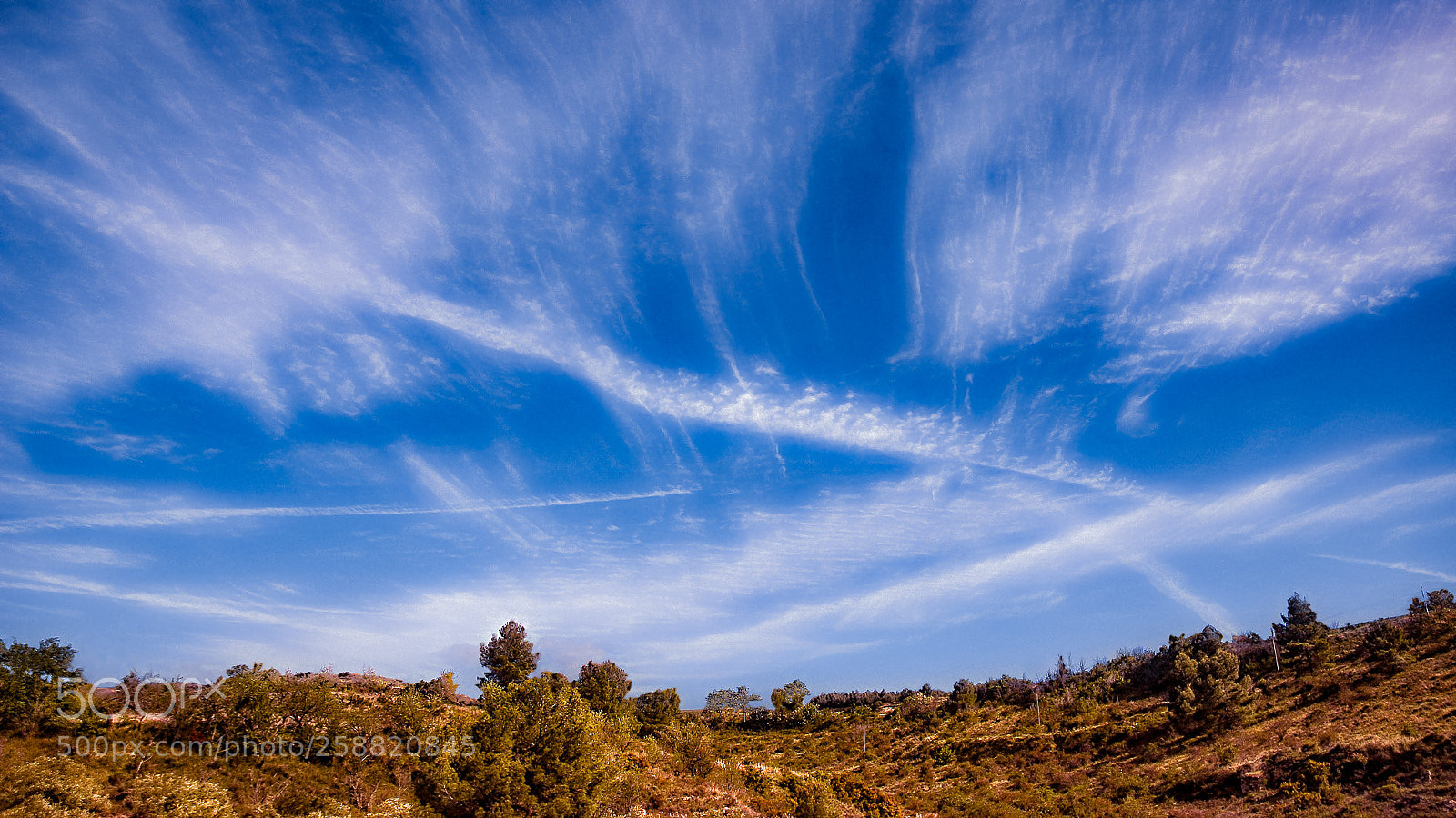 Nikon D70s sample photo. Camino de santiago - 33/40 photography