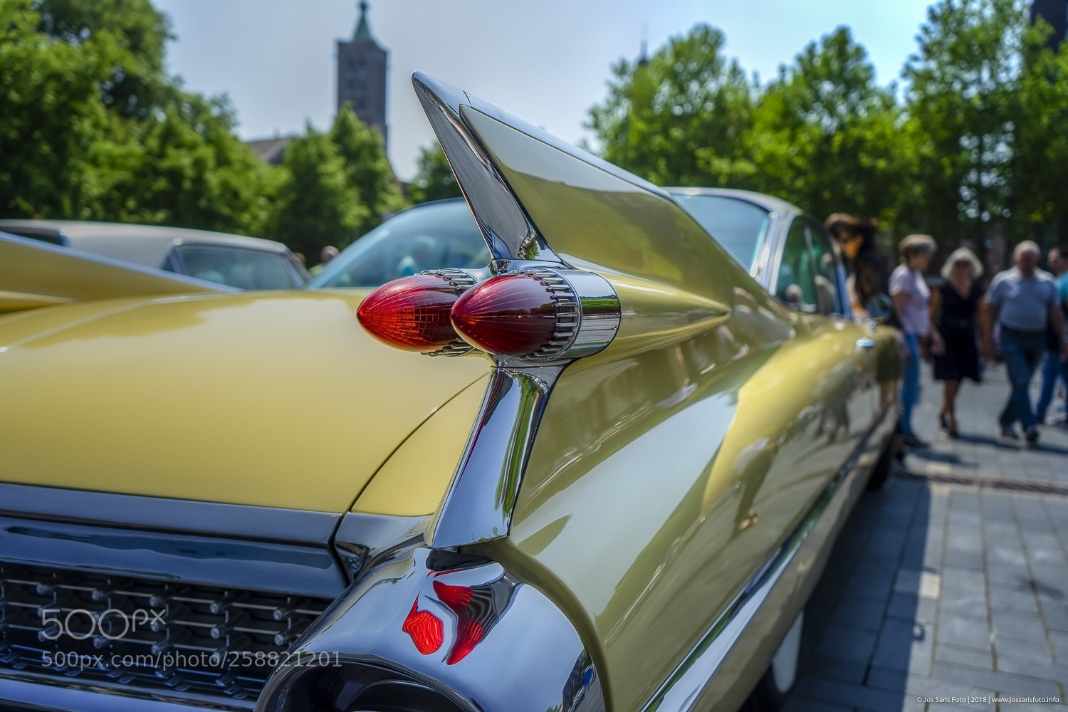 Sony a7 sample photo. Netherlands venlo feel the photography