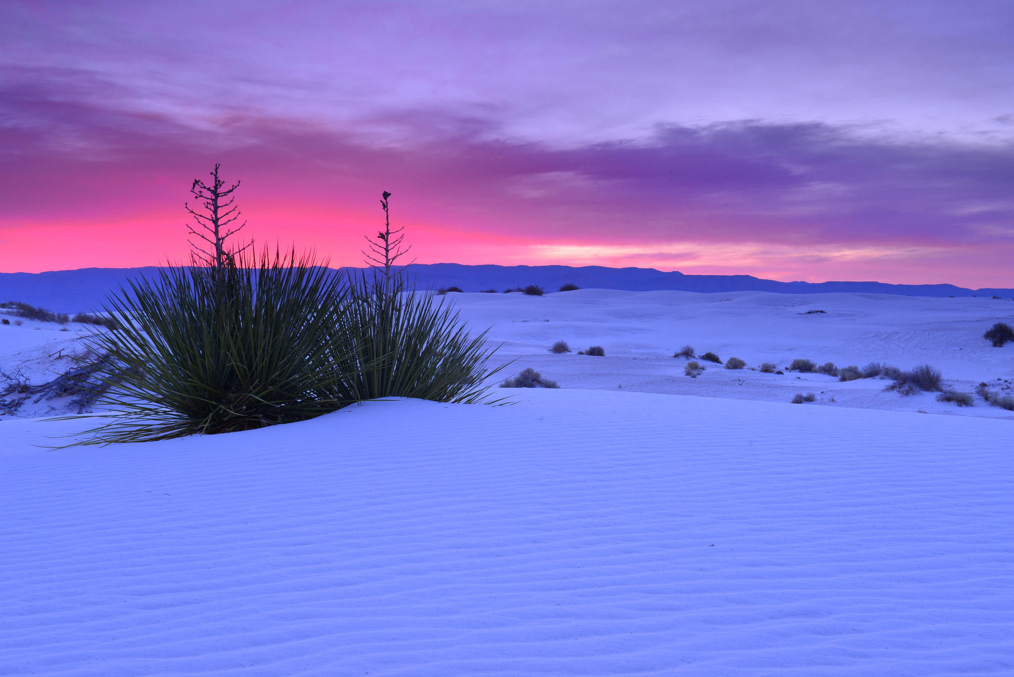 Nikon D800E sample photo. Sunrise at white sands desert photography