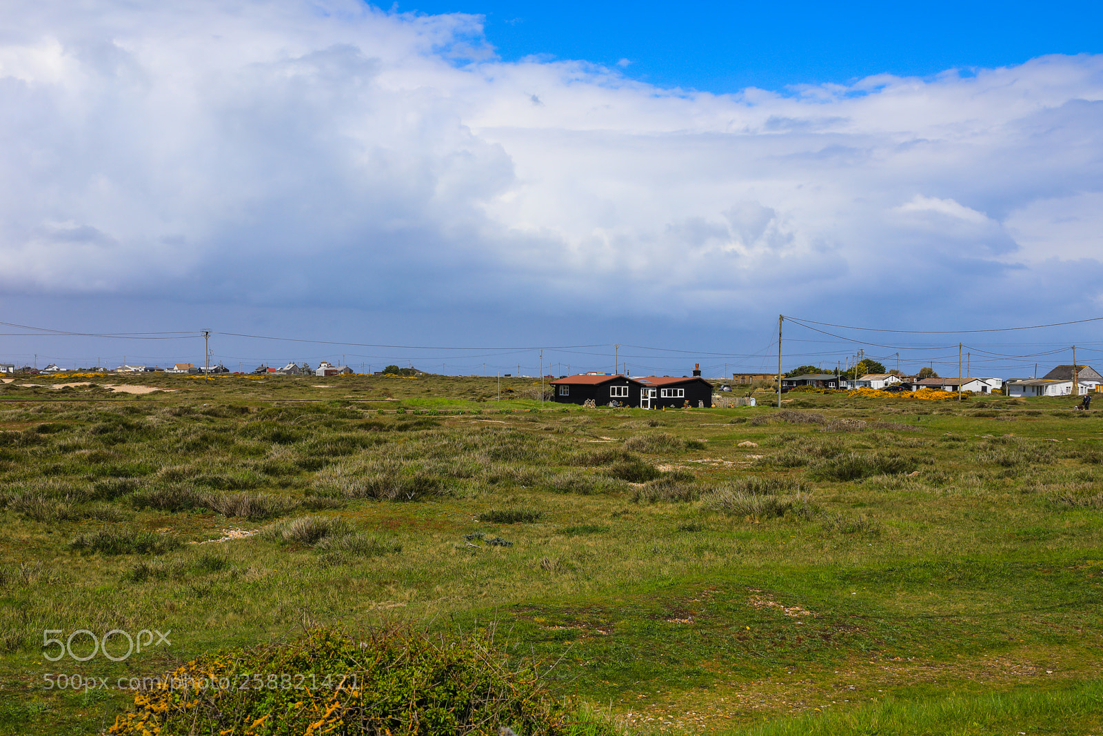 Canon EOS 5D Mark IV sample photo. Untitled photography