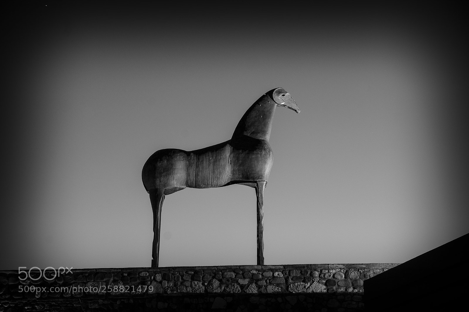 Sony ILCA-77M2 sample photo. The bronze horse! photography