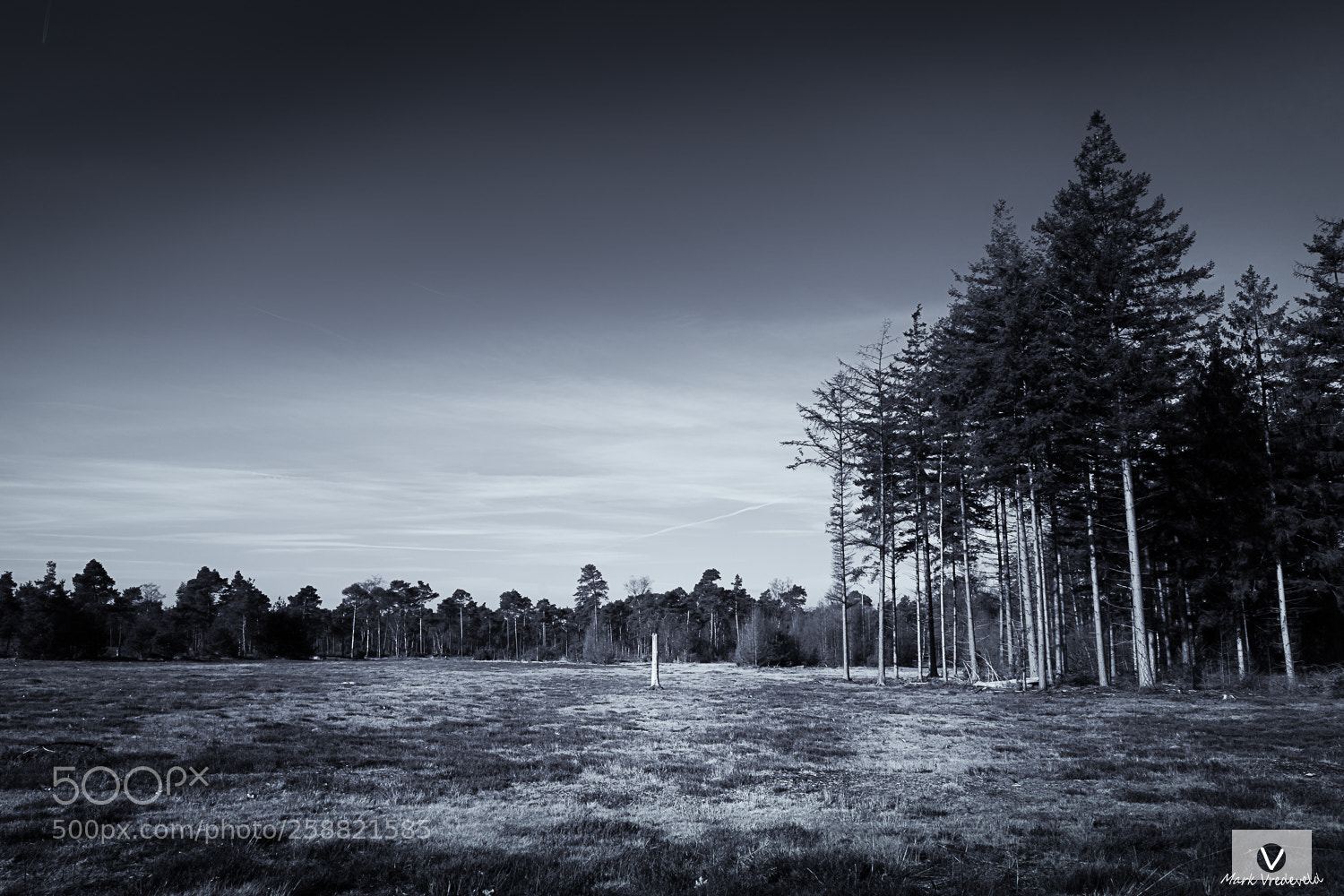 Sony a7 sample photo. Sallandse heuvelrug photography